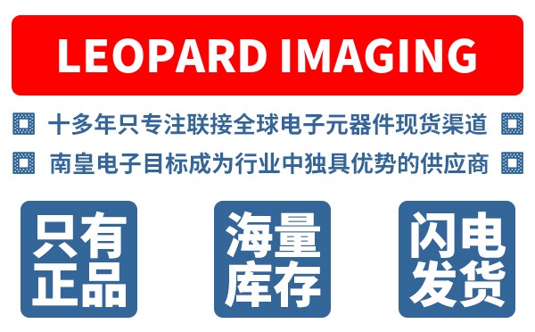 Leopard Imaging公司 (Leopard Imaging Inc.)